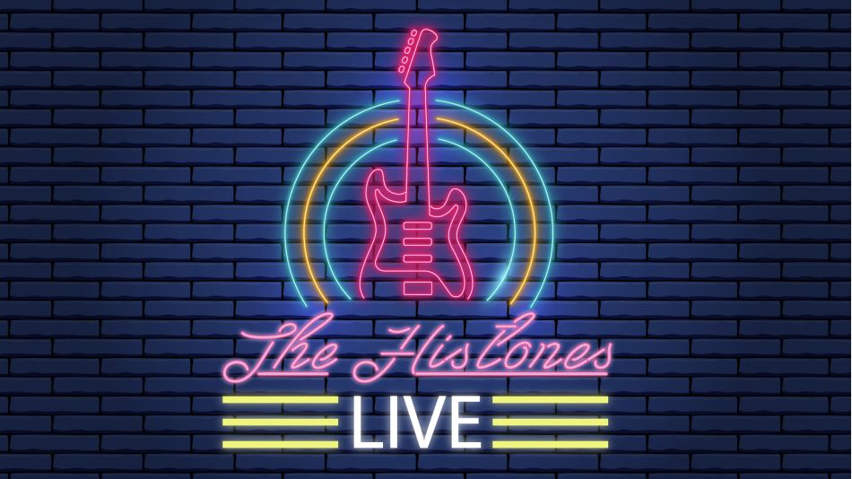 The Histones Live for BenchSci Employee Event